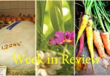 Farm and Dairy’s week in review: 9/12 Week in Review: 9/12