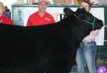 Support for county fairs continues to amaze