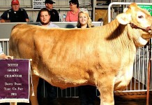 Tuscarawas County Fair 2015