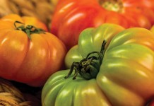 How to choose heirloom seeds: 5 tips heirloom tomatoes