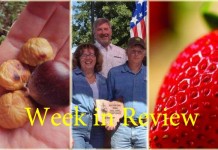 Farm and Dairy’s week in review: 10/3 Week in Review 10/3