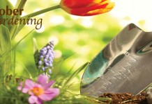 October’s gardening to-do list flowers and trowel