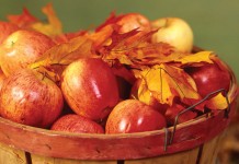 October is apple month (Infographic) basket of apples