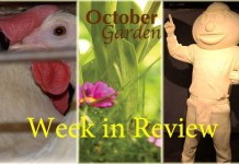 Farm and Dairy’s week in review: 10/9 Week in Review 10/9