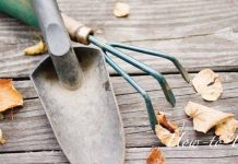 How to prepare garden tools for winter garden tools and fall leaves