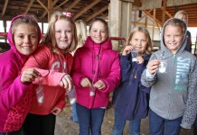 Life on a dairy farm Soybean necklaces