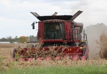 Crop harvest ahead of usual, but yields are down Corn harvest
