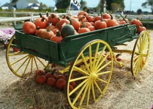 wagon with pumpkins