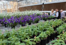 California drought could boost indoor farming demand Greenhouse