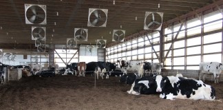 Maintain your barn ventilation system before summer comes Compost barn