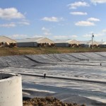 Hog manure could fuel your truck or car Covered Lagoon at Ruckman Farm