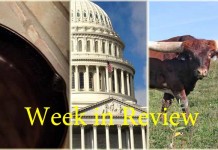 Farm and Dairy’s week in review: 11/7 Collage of this week's top stories