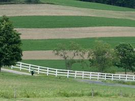 contour strips on Holmes County farm