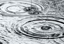 Water, water, everywhere? raindrops on puddles