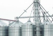 Long weekend offers some market hope grain bins