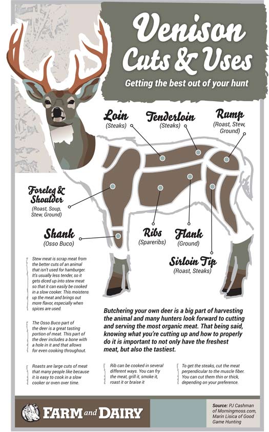 Venison cuts and uses (Infographic) Farm and Dairy