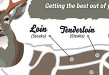 Venison cuts and uses (Infographic) venison graphic