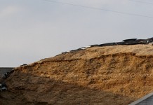 Extra care can prevent silage pileups, preserve feed quality silage in bunker silo
