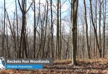 Farm and Dairy’s Field Notes: Episode 5