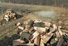Tips for purchasing quality firewood Green wood.