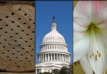 5 stories farmers read this week: Dec. 26 5 stories collage for Dec. 26, 2015