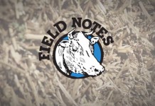 The top 5 stories of 2015