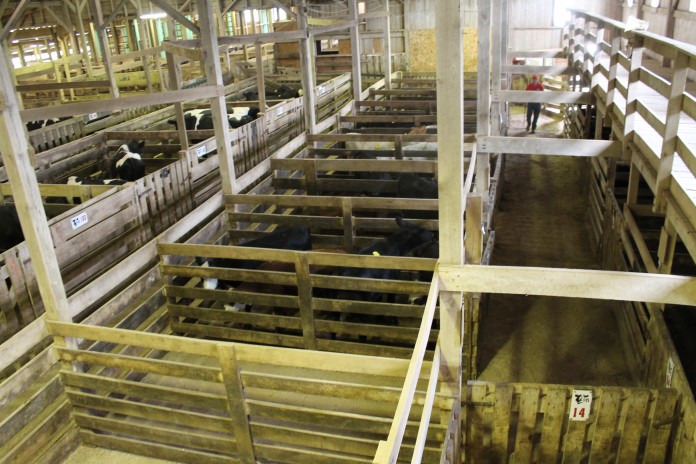 Livestock market