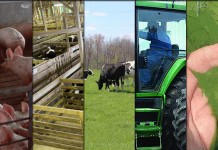 5 stories farmers read this week: Jan. 9, 2016 5 stories farmers read this week collage Jan. 9