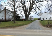 Amish farmer and author shares story of the simple life Kline dairy