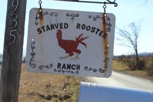 Richey ranch