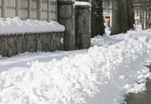 De-icing salts can damage trees, shrubs snowy sidewalk