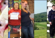 5 stories farmers read this week: Feb. 27, 2016 5 stories collage for Feb. 27, 2016