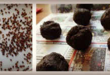 Fun projects for spring planting seed bombs