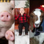 5 stories farmers read this week: March 5, 2016 5 stories collage: March 5, 2016