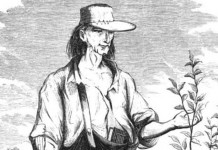 American as apple pie: March 11 is Johnny Appleseed Day Johnny Appleseed drawing
