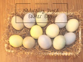 How to make naturally dyed Easter eggs naturally dyed Easter eggs
