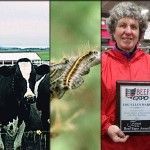 5 stories farmers read this week: March 26, 2016 5 stories collage - March 26, 2016