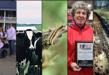 5 stories farmers read this week: March 26, 2016 5 stories collage - March 26, 2016