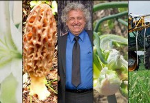 5 stories farmers read this week: April 2, 2016 5 stories collage April 2, 2016