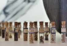 Pa. seed libraries allowed to hold seed exchanges seeds in vials