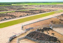 Certified Angus Beef licenses Russian beef Certified Angus Beef in Russia