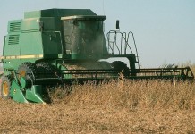 Corn and beans trading at unusual odds combining soybeans