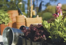 Fairy gardens can be fun for children or adults Fairy gardens are a fun way to introduce children to gardening. Once families get started, they may want to create entire fairy villages.