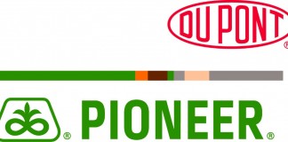 DuPont PIONEER logo
