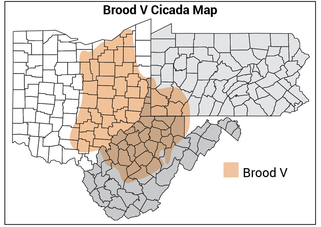 Brood V cicada map