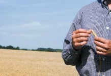 The best movies about farmers: Part II farmer in wheat field