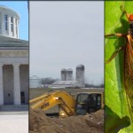 Field Notes: Rising CAUV, pipeline lawsuits, cicadas emerging Field Notes for April 28, 2016