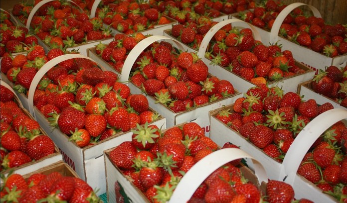 strawberries