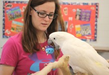 Not your typical FFA program SSCA ffa ghost ledger