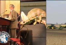 Field Notes: CAUV hearings, new FFA program, planting update Field Notes collage for May 5, 2016